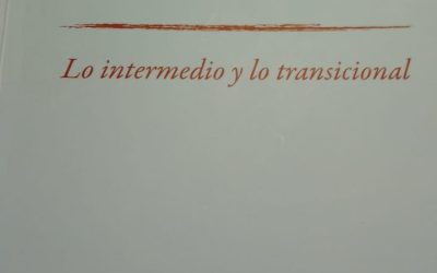 UNA LECTURA DE WINNICOTT – Lo intermedio e lo transicional